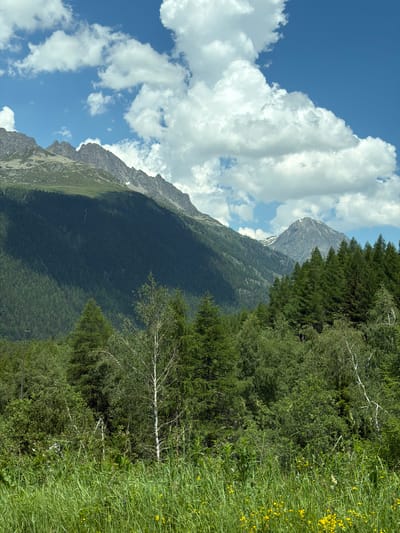 The image depicts a panoramic view of the Swiss Alps in Vallorcine, France, on a bright, sunny day. The sky is a vibrant blue, dotted with fluffy white cumulus clouds. In the foreground, lush green grass and wildflowers create a meadow, leading the eye towards a dense forest of pine trees that covers the lower slopes of the mountains. The mountains themselves rise majestically, their rocky peaks dusted with patches of snow, even in the warmer months. The scene is tranquil and undisturbed, with no people or man-made structures visible, emphasizing the natural beauty of the landscape. The light suggests it is mid-day, with strong sunlight casting shadows across the mountains and forest.