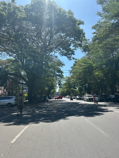 The image depicts a street scene in Makassar, Indonesia, bathed in the bright sunlight of a clear day. The perspective is from the side of the road, looking down its length. A prominent feature of the scene is a row of cars and motorcycles parked along the right side of the street, interspersed with trees that cast dappled shadows across the asphalt. The trees are lush and green, suggesting a tropical environment.

On the left side of the road, a large, mature tree with sprawling branches dominates the foreground. Its leaves are dense and green, catching the sunlight. A person wearing a camouflage uniform stands near the base of this tree, facing away from the camera. Further down the street, more trees line the pavement, creating a canopy effect.

Several vehicles are visible, including cars and motorcycles. Some of the cars are white, while others are darker colors. The motorcycles appear to be common models. The road itself is asphalt with a white line marking the lane.

The time of day appears to be mid-morning or early afternoon, given the angle of the sun and the intensity of the shadows. The weather is fair and sunny. The presence of parked vehicles and people on the street indicates that this is a typical urban scene. There is no visible text in the image. The overall impression is one of a vibrant, sun-drenched street in a city with significant tree cover.