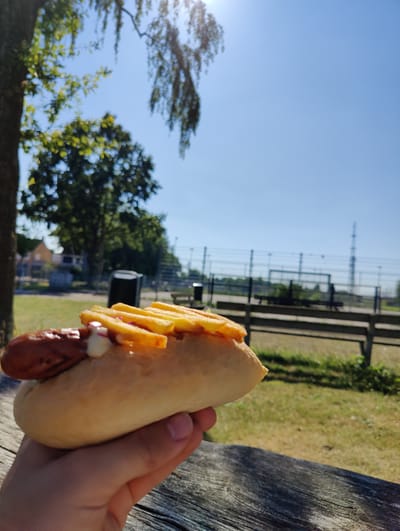 A hand holds a hot dog with french fries on top over a wooden surface. In the background, trees and a blue sky are visible, along with a fence and what appears to be a sports field. The image seems to be taken outdoors on a sunny day. The location is not specified to be Breda, Netherlands.