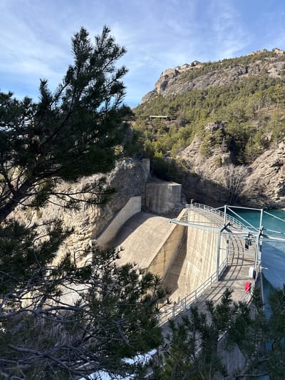 The image displays the Pont Baldy Dam, located within a mountainous gorge near Briançon, France. A large, light-gray concrete gravity dam occupies the midground, impounding a calm, turquoise reservoir to its right. A metal walkway with railings and an overhead gantry mechanism spans the dam's crest; a small red emergency object is visible on this walkway. Dark green pine branches partially obscure the foreground, originating from the left and lower-right. Surrounding the dam are steep, rocky, and heavily forested slopes, featuring both evergreen and bare deciduous trees. A single individual, dressed in blue, is discernible standing on a ledge on the upper left rock face. On the distant mountain ridge in the upper right, a series of fortified stone structures are visible, consistent with the historical defenses around Briançon. The scene is illuminated by strong sunlight under a blue sky with scattered white clouds, casting distinct shadows.