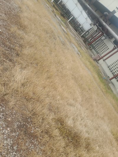The image depicts a dry, grassy area with scattered gravel in the foreground. In the background, a large industrial building with white siding, grey pipes, and red structural supports is visible. The building features rows of square vents along its side. The overall scene suggests an outdoor industrial or utility area, possibly in a location experiencing dry weather. The image was taken in Gwagwada, Nigeria.