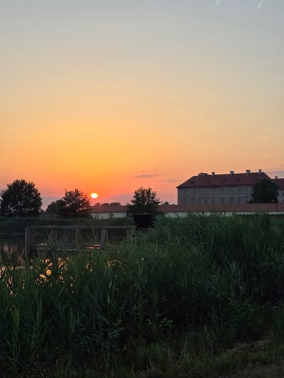 The image depicts a sunset over a body of water, with tall grass in the foreground and a large building in the background. The sun is setting on the left side of the frame, casting a warm orange glow across the sky. The water reflects the colors of the sunset, creating a shimmering effect. The tall grass in the foreground is lush and green, obscuring much of the water and the ground. In the distance, a long, light-colored building with a red roof is visible. This building appears to be a historical structure, possibly a castle or palace, and its architecture suggests it is located in Europe. Given the context of Holíč, Slovakia, this building is likely the Holíč Castle. There are trees on either side of the setting sun, silhouetted against the bright sky. The overall scene is serene and picturesque, capturing the beauty of a summer evening.