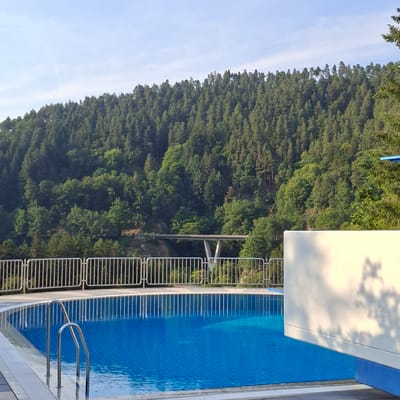 This is a medium shot, taken from an elevated perspective, of an outdoor swimming pool next to a densely wooded hillside. The pool is rectangular with bright blue water, reflecting the sky and surrounding clouds. Stainless steel railings and steps are visible leading into the pool. To the left of the pool, a white wall with a blue tiled border runs along the edge. The hillside is covered in a thick forest of green trees, with a clear blue sky above. The overall scene suggests a tranquil, natural setting, possibly a resort or private residence in a mountainous or hilly region. The lighting indicates it is daytime, with clear weather. The image is oriented vertically, so the pool appears on the right side and the hillside on the left.
