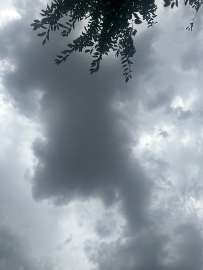 The image shows a dark, overcast sky with some branches of leaves hanging into the frame from the top. The clouds are dense and appear to be building, suggesting a possibility of rain or a storm. The lighting is dim, with a diffused glow coming through some of the lighter clouds. The overall atmosphere is somber and dramatic due to the dark clouds and limited light. The location is specified as Сарымолдаев ауылдық округі, Kazakhstan.