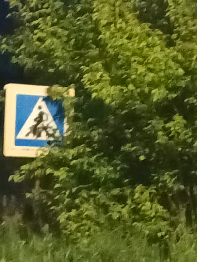 A pedestrian crossing sign is visible on the left side of the image, partially obscured by foliage. The sign is square with rounded corners, featuring a white border. Inside the border, there is a blue triangular shape containing a white silhouette of a person walking. The sign is mounted on a pole, though the pole is not fully visible. The background consists of dense green foliage, likely trees and bushes, with some hints of grass at the bottom of the frame. The lighting suggests it is daytime, possibly with dappled sunlight filtering through the leaves. There is no clear indication of the specific location within Savino, Russia. No people are depicted in the image besides the silhouette on the sign.