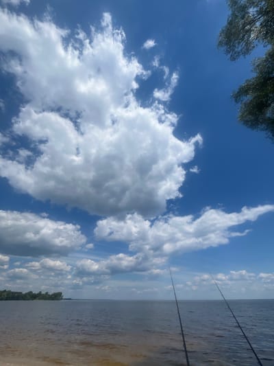 This is a vertical, outdoor, daylight photograph of a serene lake scene with a bright blue sky filled with fluffy white clouds. Two fishing rods are prominently positioned in the foreground, angled upwards and to the right, suggesting an activity is underway or about to begin. The lake stretches across the right side of the frame, its surface rippled by a gentle breeze. In the distance, a thin strip of green foliage, likely trees, lines the far bank of the lake.

The lighting indicates it is daytime, with the sun casting a clear light on the clouds and water. The weather appears to be pleasant, with a mix of sun and clouds. The overall mood is peaceful and tranquil, evoking a sense of outdoor recreation and relaxation. There is no visible text in the image.