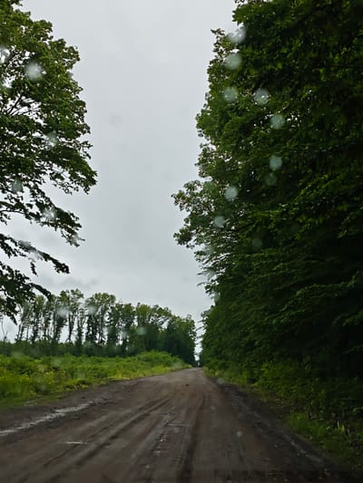 A dirt road is visible in the foreground, appearing wet and muddy, with tire tracks and small puddles. On either side of the road, dense green trees line the path, with the foliage of the trees on the right extending towards the center of the image. In the distance, a line of thinner trees is visible against a gray, overcast sky. The image seems to have been taken through a window with raindrops on it, as evidenced by several circular, blurry spots scattered across the frame. The overall scene suggests an outdoor, rural environment, possibly in a wooded area, under cloudy weather conditions. This image was captured in the village of Khrinivka, Ukraine.