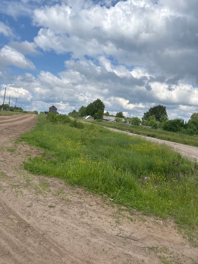 An eye-level, medium shot captures a rural scene under a dramatic, cloudy sky. A dirt road curves from the left foreground into the mid-ground, dividing a field of tall green grass dotted with small yellow flowers. In the mid-ground, several wooden structures, including a prominent, weathered, multi-story building resembling a granary or mill, are visible amidst trees. Beyond these structures, a cluster of houses with dark roofs and wooden fences suggests a small village. Power lines with poles line the left side of the dirt road, extending into the distance. The overall impression is one of a remote, pastoral landscape in Russia, potentially the city of Kurgan, Russia, given the architectural style and vegetation.