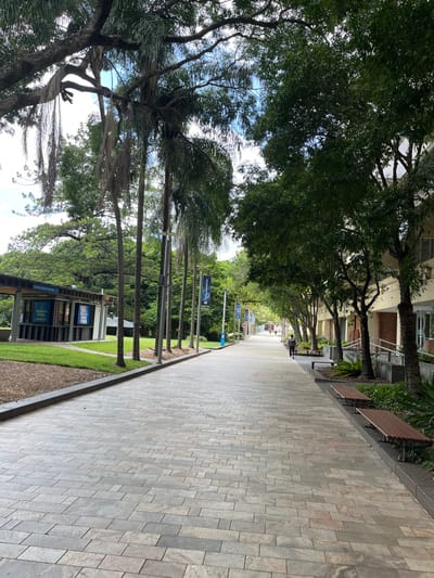 This media file captures an empty, well-maintained outdoor paved pathway in Brisbane City, Australia, under what appears to be daytime conditions. The pathway is constructed from rectangular pavers in varying shades of grey and beige, extending into the distance with a gentle curve.

On the right side of the pathway, a line of mature trees with lush green foliage and visible trunks creates an overhead canopy, providing shade. Beyond these trees, parts of a building facade are visible, along with several wooden slatted benches positioned along the edge of the path.

On the left side of the pathway, a narrow strip of green grass borders the paving, followed by more trees, including several tall palm trees with slender trunks and fronds. Along this side, a series of blue banners or flags are mounted on poles. Visible text on these banners includes "STAY UP TO DATE", "G20 BRISBANE", and "GREATER BRISBANE GREEN INFRASTRUCTURE NETWORK". Further down, an outdoor information display or kiosk, also featuring blue signs, is situated on the grassy area, with "Brisbane" clearly discernible on one of its panels.

No people or activities are visible in the image, suggesting a quiet moment on what could be a public park thoroughfare or a university campus walk. The overall impression is one of a clean, green, and orderly urban pedestrian environment.