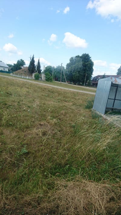 The image captures a rural scene in the village of Zhnyborody, Ukraine, on a bright, overcast day. The foreground is dominated by dry, tall grass and weeds. A dirt path winds its way up a gentle incline in the middle ground. On the left side of the path, a small, white building with a dark roof is visible. Further up the incline, near the path, is a small, fenced-in cemetery plot with a simple monument, two cypress trees, and a cross. Beyond the path, a line of trees forms a backdrop, with several wooden utility poles interspersed. In the distance, several houses and buildings are visible among the trees. On the right side of the image, a corrugated metal structure, possibly a bus stop shelter, stands at the edge of the path. The sky above is a light blue with scattered white clouds.