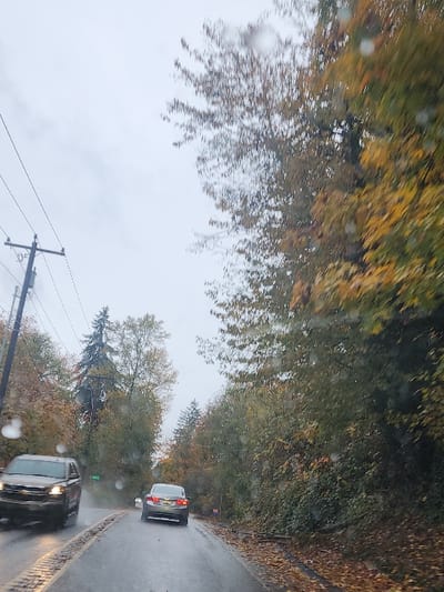 The image depicts an overcast, wet autumn road scene in South Hill, United States. The perspective is from inside a vehicle, with numerous raindrops visible on the frontal transparent surface. A two-lane asphalt road, visibly wet from rain, occupies the lower and central portions of the frame. In the left lane, a dark-colored sport utility vehicle (SUV) with illuminated headlights is partially visible, appearing to approach the viewer. Further down the road, in the right lane, a silver sedan with illuminated taillights is observed moving away from the viewer. Both sides of the road are densely bordered by trees, many displaying yellow and orange autumn foliage, interspersed with green evergreens. Fallen leaves are scattered on the road surface and along the shoulders. A utility pole supporting multiple power lines is visible on the left side of the road. The sky is uniformly grey and overcast. No individuals are present in the visible area.