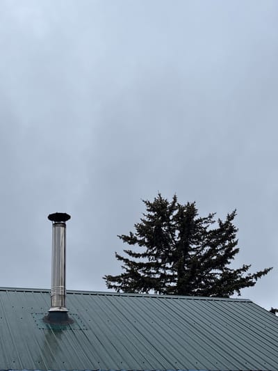An overcast sky looms above a metallic green roof, which slopes downwards from left to right. A silver metal chimney, topped with a black cap, stands upright on the roof. To the right of the chimney, the dark branches of a conifer tree extend upwards, their needles appearing dense against the muted sky. The roof itself is composed of corrugated metal panels, secured by visible fasteners. The overall scene appears to be a residential setting in Gonja, Russia.