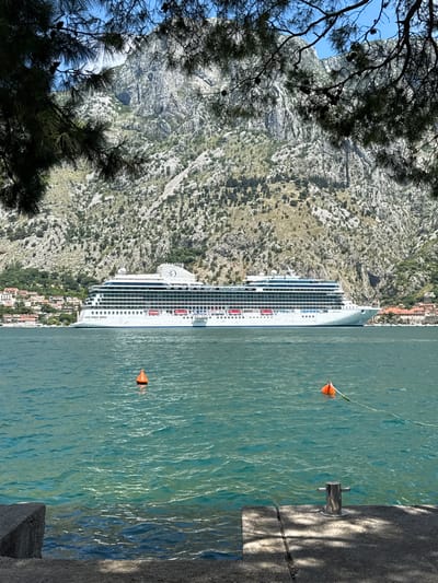 In Škaljari, Montenegro, a large white cruise ship, identified as the "ALLURA," is anchored in turquoise water under a clear blue sky. The ship, with multiple decks and rows of windows, is positioned in the middle ground of the frame. In the foreground, a concrete dock with a metal bollard is visible, with a portion of a granite structure to the left. Two orange buoys float in the water; one is closer to the ship and the other is further out. Behind the ship, a hillside covered in sparse greenery and rocky formations rises steeply. The upper part of the frame is partially obscured by dark green pine branches, some bearing cones. Buildings with red-tiled roofs are clustered along the base of the hillside, to the left of the ship. The scene depicts a sunny day with a calm sea, emphasizing the grandeur of the cruise ship against the natural backdrop of the mountainside.