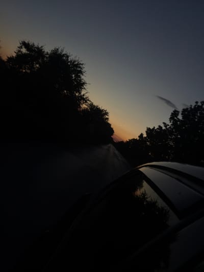 The image captures a twilight scene from a car driving through Busmantsi, Bulgaria. The perspective is from inside the vehicle, looking out towards the left and slightly upwards. Silhouetted trees line the road on the left, their dense foliage creating a dark, almost impenetrable mass against the darkening sky. The sky itself displays a gradient of colors, transitioning from a pale orange and pink near the horizon on the left, where the sun has recently set, to a deep, muted blue-grey overhead. A wispy, elongated cloud is visible in the upper right quadrant of the sky. The road surface, appearing wet, reflects the dim light. The car's roof and window are prominently visible in the foreground, dark and glossy, reflecting the surrounding trees and sky. The overall impression is one of movement and the end of the day in a semi-rural or suburban setting within Busmantsi.