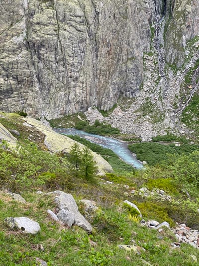 The image displays a mountainous valley landscape near Innertkirchen, Switzerland, observed from an elevated vantage point. The scene is devoid of human presence or artificial structures.

In the foreground, the terrain is a gently sloping bank covered with dense, bright green grass and various low-lying green shrubs. Several light gray boulders and smaller rocks are scattered across this grassy expanse. Two slender, small conifer-type trees are visible on the lower left-center slope.

The midground features a glacial river, characterized by its distinctive milky blue-turquoise color, flowing from the left towards the right through the valley floor. The riverbanks are densely lined with clusters of dark green bushy vegetation. Beyond the river, the valley floor transitions into expanses of light gray scree and larger boulders.

The background is dominated by towering, steep rock faces ascending vertically on both sides of the valley. These geological formations exhibit a light gray coloration with darker vertical striations and fractured textures. Sparse patches of green vegetation cling to crevices and ledges on the rock walls. On the far right, a narrow waterfall cascades down the sheer rock face, breaking into multiple streams as it descends towards the valley floor, contributing to the river. Extensive deposits of light-colored rockfall and scree are prominent at the base of the cliffs on both sides of the watercourse.