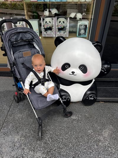 In Chenghua District, China, a baby sits in a gray stroller next to a large, white panda statue. The baby is wearing a white outfit with yellow bee print and white socks, and has blue eyes. The panda statue is cartoon-like, with black ears, eye patches, and paws, and pink cheeks. In the background, a storefront window displays various panda-themed merchandise, including stuffed animals and boxes. The scene is outdoors, on a paved surface that appears to be asphalt or gravel.