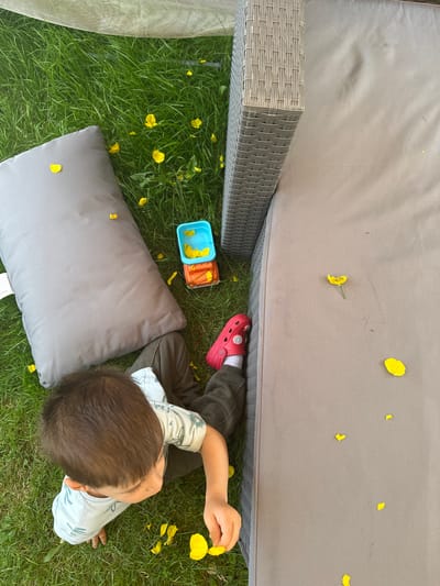 A young boy is sitting on the grass in a garden, near a grey outdoor sofa. He is wearing a light blue t-shirt with a pattern and dark trousers, along with red Crocs. The boy is looking down at his hands, which are near some yellow petals scattered on the grass and on the sofa. There is a large grey cushion on the grass to the boy's left, and a stack of colorful plastic toys, including a blue and orange container, to the right of the cushion. The garden is covered in green grass and scattered yellow buttercup flowers. The image appears to have been taken on a sunny day.