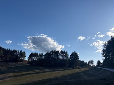 The image depicts an outdoor rural landscape under a clear blue sky with scattered white cumulus clouds, including one prominent darker cloud centrally located. Dense coniferous forests composed of numerous tall, dark trees line the distant hillsides, appearing largely silhouetted against the sky. The foreground and midground consist of undulating grassy terrain, showing areas of both sunlit green and extended shadows cast from the trees, indicative of low-angle sunlight. A narrow, unpaved or gravel path is visible on the right side of the frame, ascending a gentle slope and curving out of view towards the upper right. No individuals, animals, or man-made structures, other than the path, are visible within the scene. The lighting suggests either early morning or late afternoon. This scene is located in the vicinity of Kasak, Bulgaria.