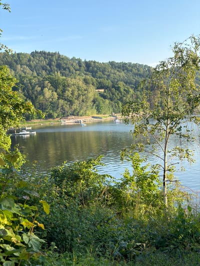 The image depicts a serene lakefront scene in Lipie, Poland, bathed in the soft light of a sunny day. The foreground is dominated by lush green foliage, with large, broad leaves in the lower left casting shadows. Behind this, a light-barked tree with delicate, branching limbs and dappled leaves stands prominently, its upper branches reaching towards the sky.
The middle ground showcases a calm, blue body of water, its surface gently rippled, reflecting the surrounding greenery and the clear sky. Several small boats are visible on the lake: a white boat is docked at a white pier on the left, and other smaller boats are scattered further out.
The background features a densely forested hill rising steeply from the water's edge. The trees are varied, creating a rich tapestry of greens. A sandy area or beach is visible along the shoreline in the distance, with a concrete structure with steps leading down to the water. The sky above is a bright, clear blue, devoid of clouds. There are no people clearly visible in the image.