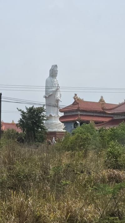 A medium shot of a statue of a white goddess figure standing in front of a red roofed structure. The scene appears to be in the city of Đăk La, Vietnam. Power lines crisscross above, and the statue stands on a white pedestal. Vegetation surrounds the statue and the building, creating a border around them. The sky is gray and overcast.