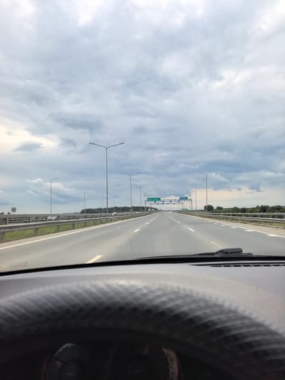 The image is taken from the driver's perspective inside a vehicle, looking forward along a multi-lane highway. The road is asphalt with white lane markings. On either side of the highway are metal guardrails and grassy shoulders, beyond which a line of trees is visible. Multiple streetlights are positioned along the road. Overhead signs indicate directions to "ЕКАТЕРИНБУРГ" (Yekaterinburg) and other destinations. The sky is overcast with heavy, grey clouds. The dashboard of the car is visible in the foreground, out of focus. This scene is consistent with a highway environment in the vicinity of Горный, Russia, likely a rural or suburban area given the presence of trees and open space alongside the road. There are no people visible in the image.