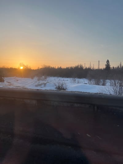 The image depicts a snow-covered rural landscape in Selychka, Russia, at either sunrise or sunset. The lower approximately one-third of the frame is dominated by a dark, blurred horizontal element, consistent with a vehicle's interior or a guardrail, indicating the viewpoint. Above this, the midground features undulating terrain covered in white snow, with visible patches of darker ground and numerous leafless deciduous shrubs and small trees. A dirt path or track is discernible through the snow on the left side of the midground. Several indistinct objects or structures are scattered across the snow. The background is composed of a dense forest line, primarily consisting of bare deciduous trees and some evergreen conifers, with the sun low on the left horizon, emitting a bright orange-yellow glow through the trees. Above the main tree line on the right, several tall, thin, possibly dead trees or communication poles are visible against the sky. The sky transitions from a warm orange-yellow near the horizon to a pale blue at the zenith. No individuals or overt actions are present.