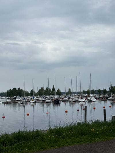This is a wide exterior shot of a marina in Lappeenranta, Finland, under an overcast, light grey sky with uniform cloud cover. Numerous boats, predominantly sailboats with tall masts of varying heights, are moored in organized rows along several docks that extend into a calm body of water. Interspersed among the sailboats are several smaller motorboats. The boats display various hull colors, including white, blue, and dark brown.
In the midground water, several buoys are visible: one reddish-pink buoy is in the far left, two orange buoys are in the center-left and far right, and three additional reddish-pink buoys are in the central and mid-right areas. Each buoy is cylindrical or teardrop-shaped with a metal loop at the top, and their reflections are visible on the water's surface. The water exhibits a smooth, reflective quality, with subtle ripples.
The background features a dense, verdant treeline of deciduous trees, indicating a natural shoreline. In the immediate foreground, a patch of vibrant green grass mixed with some yellow dandelion-like flowers occupies the lower portion of the image. Below the grass, a narrow, dark grey gravel path is visible. Two dark brown wooden posts rise vertically from the water near the right foreground, positioned between the grassy bank and the moored boats. No human figures are present in the scene.