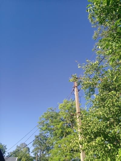 The image depicts a clear blue sky above a pastoral scene in Yessentukskaya, Russia. In the foreground, a weathered concrete utility pole stands amidst lush green foliage. Power lines stretch across the frame, connecting to the pole and disappearing into the vibrant canopy of trees. The trees, in full leaf, suggest a warm season, likely spring or summer. The sunlight filtering through the leaves indicates it is daytime, likely mid-morning or afternoon, given the bright, even illumination and lack of long shadows.
The scene is serene, evoking a sense of rural tranquility. The clear sky and abundant greenery point to pleasant weather conditions, without any indication of rain or clouds. The presence of the utility pole suggests a connection to a settlement, but the overall impression is one of natural beauty and open space. There is no visible text in the image.