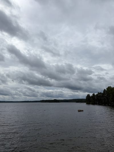 The image depicts a view of a large body of water, likely a lake, under a heavily overcast sky. Dark, textured clouds fill the upper portion of the frame. The water surface is rippled, indicating a slight breeze. In the middle ground, a single, dark-colored log or piece of debris floats on the water. In the distance, a dense line of dark green trees forms a treeline along the far shore. The right side of the image shows a closer view of the treeline, with taller trees more prominently featured. The overall atmosphere is somber and overcast. This scene is consistent with the natural landscape surrounding Aneby, Sweden, characterized by numerous lakes and extensive forests.