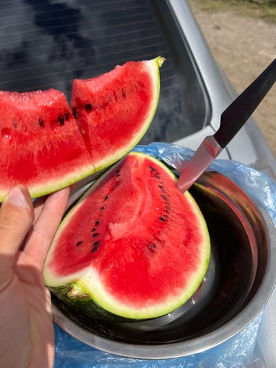 A close-up, outdoor shot shows two slices of watermelon on a sunny day. The slices are a vibrant red with visible black seeds. One slice is being held by a hand, and the other is in a silver bowl lined with a blue plastic bag. A black-handled knife is inserted into the slice in the bowl. The background shows the trunk of a silver car with tinted windows and a dirt road. The location is identified as Alexandrovka, Russia.