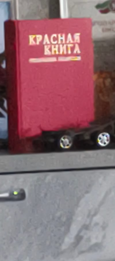The image shows a red book with Cyrillic lettering on a shelf in a room. The lettering on the book appears to be "КРАСНАЯ КНИГА" which translates to "Red Book." The book is placed on what looks like a toy truck with wheels. The background is blurred, but suggests an indoor setting. There are no people visible in the image. The location of Aktanyshbash, Russia is not explicitly depicted or suggested by any visual cues in the image.