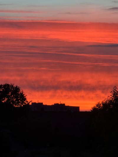 A vertical, medium shot captures a vibrant sunset over Dreiliņi, Latvia. The sky is dominated by vivid shades of orange and red, with horizontal streaks of lighter pink and subtle hints of pale blue near the top. Silhouetted against this dramatic sky are the dark shapes of trees on the left and right edges of the frame. In the middle ground, a long, flat building with visible rooftops and some detailing is also silhouetted. The foreground is entirely dark, obscuring any ground details. There are no visible people or animals in the image.