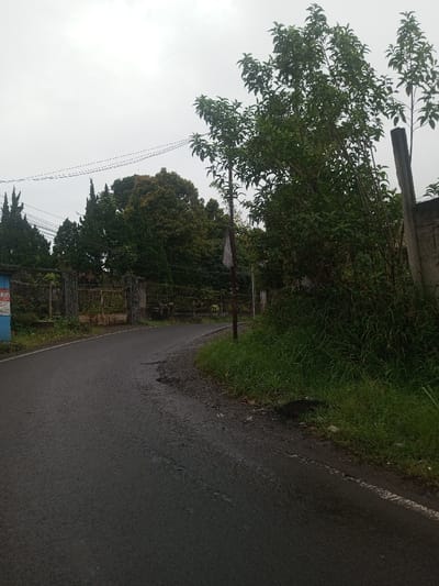 A winding asphalt road curves through a green landscape under a cloudy sky. Lush green trees and tall grasses line the roadside, contrasting with the dark, wet pavement. A small structure with a gate stands to the left, partially obscured by trees. Power lines stretch across the sky, adding to the scene's rural feel. A post stands near the road, and a concrete wall is visible on the right.