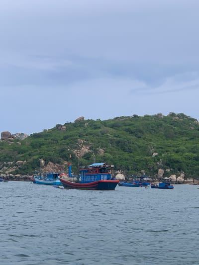 A fleet of blue and red fishing boats are docked in the calm waters off the coast of Vinh Hai, Vietnam. The boats are arranged in rows, with the largest boat in the foreground displaying a red hull and blue cabin with a white railing. A smaller blue boat is docked to its left, and several other smaller blue boats are scattered further back. The boats are positioned against a backdrop of a lush, green, rocky hill that slopes down to the water's edge. The sky is overcast, with a light blue hue and scattered clouds. The water is a deep blue, with gentle ripples indicating a slight breeze. There are no people visible in the image.