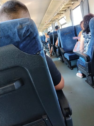 The image captures the interior of a train carriage, likely in Zhelyu Voyvoda, Bulgaria, judging by the Cyrillic text "САМОКОВ" visible on the seat's armrest. Several passengers are seated, seen from behind and the side. The primary subject in the foreground is a person wearing a blue denim jacket. Other passengers are visible in the middle ground and background, some looking out the windows. The seats are upholstered in a blue fabric, and the floor is a light green carpet. The lighting suggests it is daytime, with light streaming in from the windows. The overall atmosphere is that of ordinary travel.