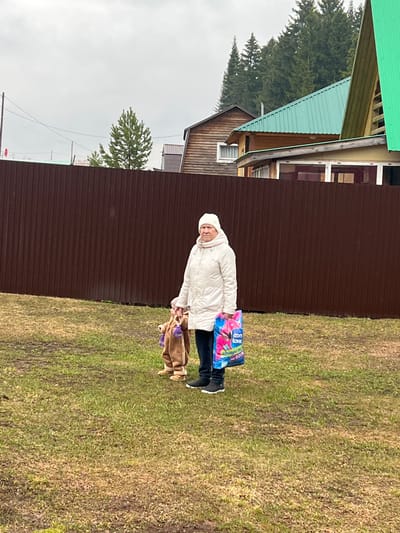 A photo shows an older woman standing on a grassy patch of land beside a fence and buildings. The woman is wearing a white coat and hat and black pants. She is holding a blue and pink plastic bag in her left hand and a brown bag in her right hand. The fence behind her is made of brown corrugated metal. To the left of the fence is a building with a green roof and a wooden exterior. Tall green trees are visible behind the buildings. The sky is overcast. Based on the presence of Cyrillic text on the plastic bag, and the landscape details, the location is likely Bol'shakino, Russia.