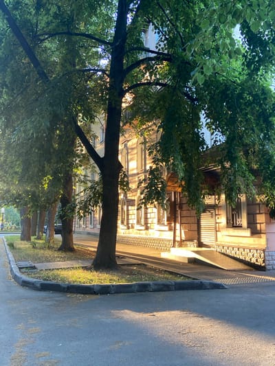 This media file depicts a street scene in Nyzhni Mlyny, Ukraine. The image is oriented vertically. In the foreground, lush green trees with dense foliage dominate the left side, casting shadows on the pavement and a nearby building. The building, located on the right side of the frame, appears to be a residential or commercial structure with multiple windows, some featuring blinds or shutters, and decorative elements. The architecture suggests an older style.

The ground consists of an asphalt road on the far right, bordered by a concrete curb and a strip of grass and fallen leaves. The sunlight filtering through the leaves and casting long shadows indicates that it is likely late afternoon or early morning. The lighting is warm, suggesting a clear or partly cloudy day.

There are no visible people or distinct activities taking place. The scene is peaceful and urban, characterized by the interplay of natural elements (trees) and man-made structures (building, road). No text is discernible in the image. The overall impression is one of a quiet urban environment with mature trees lining a street.
