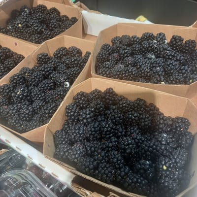 The image shows a close-up view of several open cardboard containers filled with ripe blackberries. The containers are arranged in a tiered manner, with the front container being the largest and closest to the viewer. The blackberries are a deep, dark purple-black color, and many have a slight sheen. Some are clustered together, while others are more spread out. The texture of the fruit appears bumpy and segmented. The cardboard containers are a light brown color, with some visible folds and edges. In the background, out of focus, there appears to be a white surface and some green and yellow objects. The overall scene suggests a produce display, likely in a market or store. The image does not provide any information about the city of Briceni, Moldova.