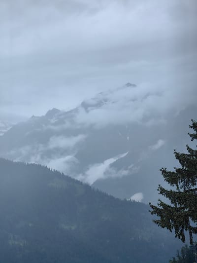 The image depicts a mountainous landscape under a cloudy sky, likely in Siumsa, India. In the foreground, on the right side, the branch of a coniferous tree with dark green needles and cones is visible, extending partially into the frame. The midground features a dense, dark green forest covering a steep mountainside, with the tips of the trees forming a jagged line against the sky. Further in the background, successive layers of mountains are obscured by mist and clouds. Some of the higher peaks show patches of snow. The overall atmosphere is overcast and moody, suggesting damp or rainy weather. There are no people or animals visible in the scene.