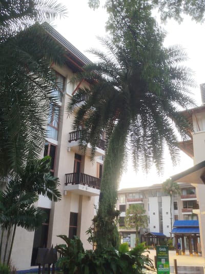 The image captures an outdoor scene in Ko Kaeo, Thailand, featuring a multi-story building with a light-colored facade. Several palm trees are visible, with one large palm tree prominently in the foreground, its fronds hanging over the building. The building has multiple balconies with dark railings and dark-framed windows. In the mid-ground, a smaller palm tree stands near a covered walkway with a blue roof. A "Grab" pick-up and drop-off point sign is visible in the lower right portion of the image, indicating a transportation service. The sky appears bright, suggesting daylight conditions. The environment appears to be a resort or a commercial area, possibly with shops or dining establishments, given the presence of the covered walkways and the Grab sign. There are no people visible in the frame.
