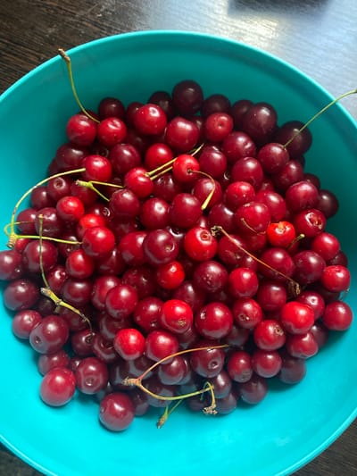A close-up, overhead shot shows a vibrant teal bowl overflowing with ripe, dark red cherries. The cherries, with their delicate green stems, are clustered tightly together, filling the bowl to its brim. The surface of the wooden table beneath the bowl is visible as a dark, textured expanse. The lighting is natural, highlighting the glossy sheen of the cherries and the matte finish of the bowl. There are no people or animals present in the image. The scene is devoid of any context that would place it in the city of Akhtyrskiy, Russia, or any other specific urban location.