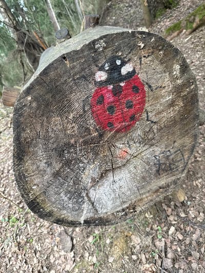The image shows a tree stump in a forest setting. The stump has been painted with a red ladybug with black spots and white markings on its head. There is also some graffiti on the stump near the ladybug. The ground surrounding the stump is covered with leaves and forest debris. The exact location in Toksovo, Russia, cannot be determined from the image.
