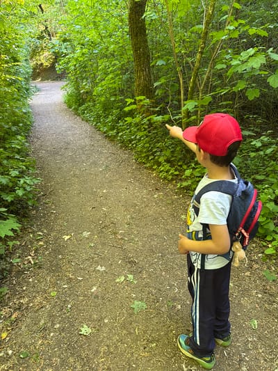 A young boy with a red baseball cap and a blue backpack is standing on a dirt path in a wooded area. He is wearing a white t-shirt with a cartoon print and blue pants with white stripes down the side. He is pointing towards the trees and foliage on the left side of the path. The path leads into the distance, surrounded by lush green vegetation. The location is likely a wooded area in or near Pétange, Luxembourg.