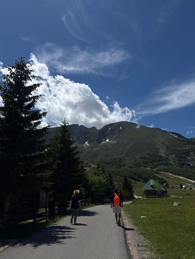 Two individuals walk along a paved road in a mountainous area. The person on the left is wearing a hat and a dark vest over a white shirt, with light-colored pants. The person on the right is wearing an orange backpack and light-colored shorts with a dark t-shirt. They are walking away from the camera.

The environment is characterized by lush green trees, particularly evergreen trees on the left side of the road, and a large, imposing mountain in the background with patches of snow. The sky is a vibrant blue with scattered white clouds.

In the middle ground, there are several small wooden buildings with green roofs, typical of mountain chalets or cabins. The area surrounding the buildings and to the right of the road is covered in green grass dotted with small yellow wildflowers. A wooden fence runs along the left side of the road. The scene suggests a serene, natural setting, likely a tourist or recreational area. The specific location is identified as Virak, Montenegro.