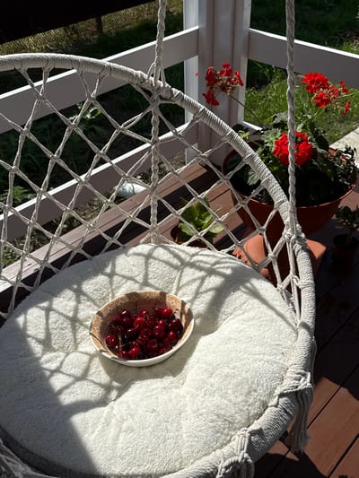An outdoor scene depicts a white, macrame-style hanging chair with a plush white cushion, set on a wooden deck. A white bowl filled with fresh cherries rests on the cushion. In the background, red geraniums in terracotta pots are visible, along with green foliage and a white railing, suggesting a porch or balcony setting. The sunlight casts distinct shadows across the chair and cushion, indicating a bright day. The scene appears to be located in Starokorsunskaya, Russia, given the context provided. There are no people present in the image.