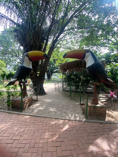 Two toucan statues stand on a path in a park. The statues are perched on pedestals with small fences around them. Lush green trees and foliage surround the area. The path consists of two sections: one paved with hexagonal stones and the other with red bricks. Sunlight filters through the trees, casting shadows on the path and adding to the vibrant, natural atmosphere of the park.
