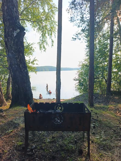 The image depicts a scene near a lake in Nepryakhinskoye Sel'skoye Poseleniye, Russia. In the foreground, a rusty metal brazier with small flames is visible on dry grass and pine needles. Beyond the brazier, several people are in the shallow water of a lake. One person, wearing a dark swimsuit, stands further out. Two children are closer to the shore; one sits on the ground near the water's edge, and another is in an inflatable ring in the lake. The background features a calm lake stretching towards a tree-covered shoreline and a bright, overcast sky. Tall pine trees and a large birch tree are present on the left side of the image, with dense foliage creating a forest setting.