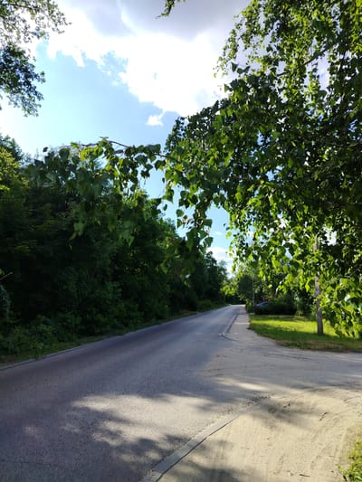 The image depicts a paved road curving through a densely wooded area under a bright, partly cloudy sky. The road surface appears to be asphalt, with a sandy shoulder on the right side. Lush green trees line both sides of the road, with some branches, adorned with leaves, hanging over the road from the right. Sunlight filters through the leaves, casting dappled shadows on the road and shoulder. A dark-colored car is partially visible in the distance on the right side of the road, amidst the greenery. The overall impression is one of a natural, somewhat secluded road within a park or forest setting. The presence of a paved road suggests it is accessible by vehicles, and the well-maintained appearance of the foliage indicates it is likely a maintained area. Based on visual cues such as the type of vegetation and the overall atmosphere, this scene could be representative of areas within or surrounding the city of Lipetsk, Russia, known for its green spaces and natural beauty.
