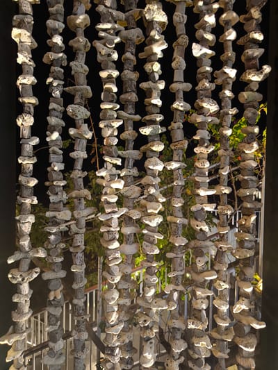 A vertically oriented, medium shot captures a beaded curtain composed of numerous small, light-colored, irregular-shaped objects strung together on vertical threads. The objects appear to be a mix of what could be coral fragments, shells, or small stones, interspaced with darker, cylindrical wooden pieces of varying lengths. These strands hang closely together, creating a textured, layered effect that obscures the background. The background is dark, suggesting nighttime or a shaded area, with faint green foliage and hints of a white railing visible through gaps in the curtain, indicating an outdoor setting, possibly a balcony or veranda. The lighting is uneven, with strong highlights on some of the strung objects, suggesting artificial light sources from the front or side. The scene is likely from an establishment in Labuan Bajo, Indonesia, known for its coastal environment and use of natural materials in decor. There are no people or discernible actions visible in the image.