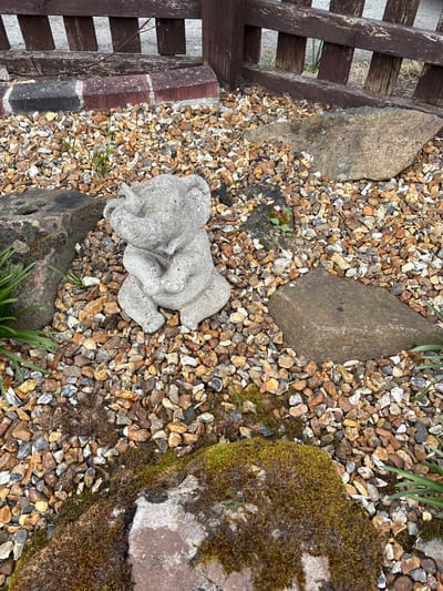 The image shows a ground-level view of a garden setting in Shrewsbury, United Kingdom. The ground is covered in light-brown and gray gravel.  A portion of a dark-brown wooden fence is visible on the left side. There are four rocks of varying sizes scattered across the gravel. One rock on the right is covered in green moss. A small, light-gray concrete statue depicting two sleeping elephants rests in the center of the gravel area. Patches of green grass and other vegetation peek through the gravel in various locations.
